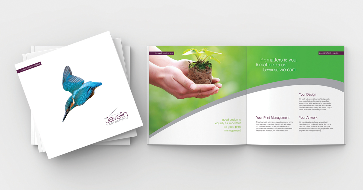 brand-avenue-portfolio-strip-javelin